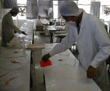 body wrap factory